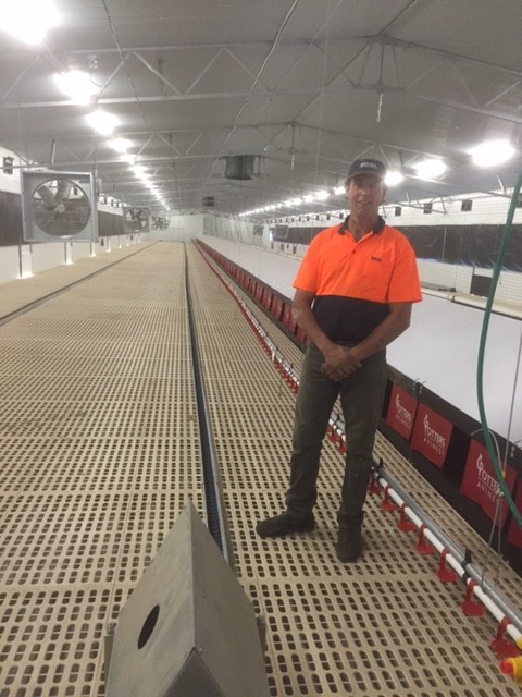 Chris Olson with Potters Poultry AVINEST system