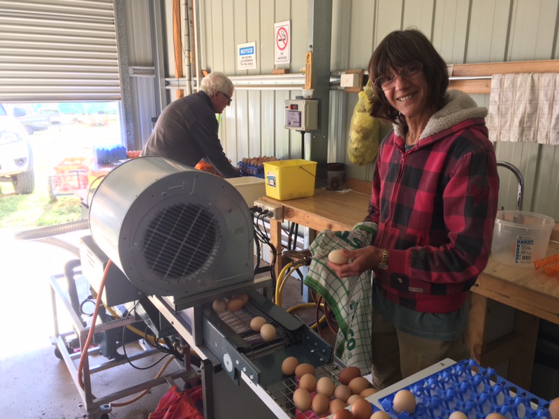 Danny and Nan Tubb operating their new egg washer