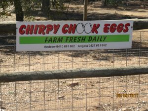 Chirpy Chook Eggs, South Australia