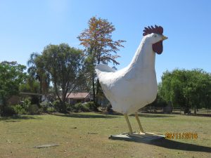 The Big Chook, Kemps Creek, Sydney