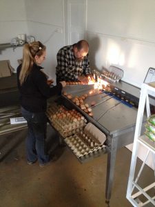 Riverina egg producers, the Wooden family, with their new egg grader