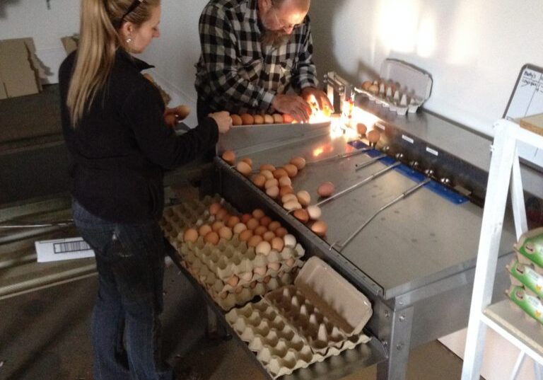 Riverina egg producers, the Wooden family, with their new egg grader